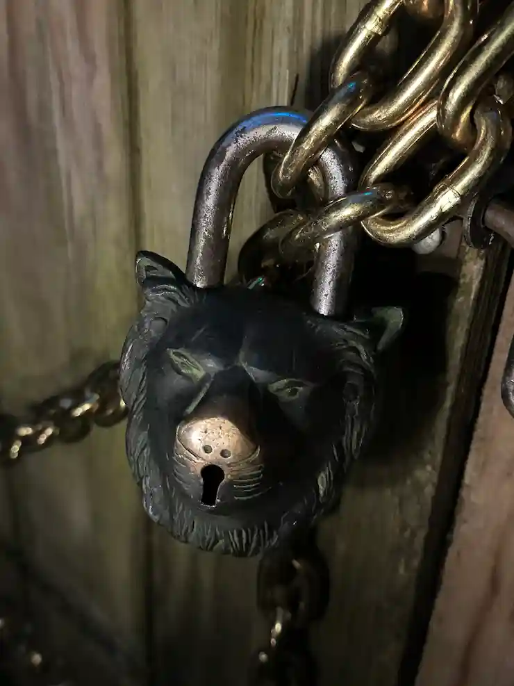 Background image of a padlock hooked on chains and a wooden door